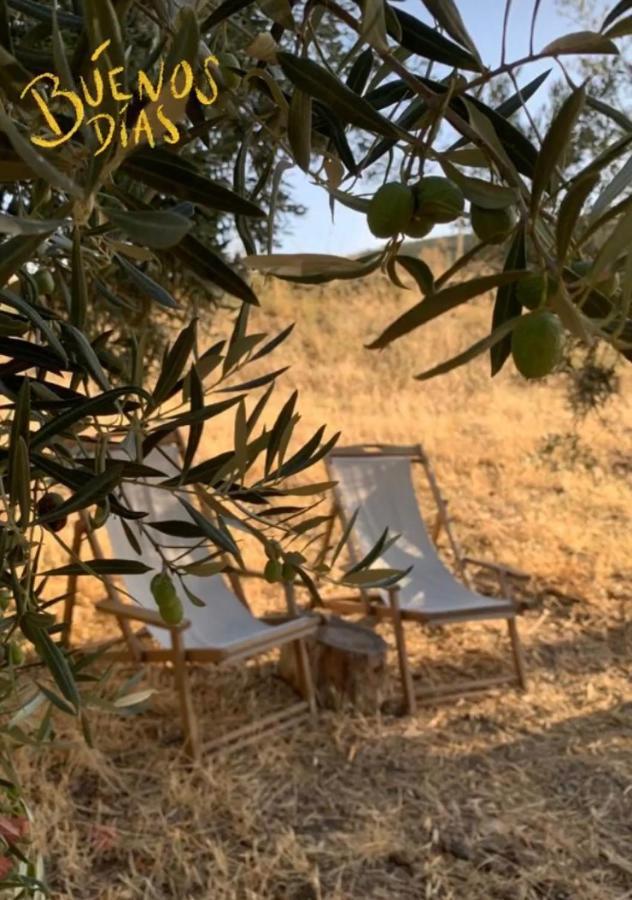 מלון מונטקורטו Tienda De Safari Almagro מראה חיצוני תמונה