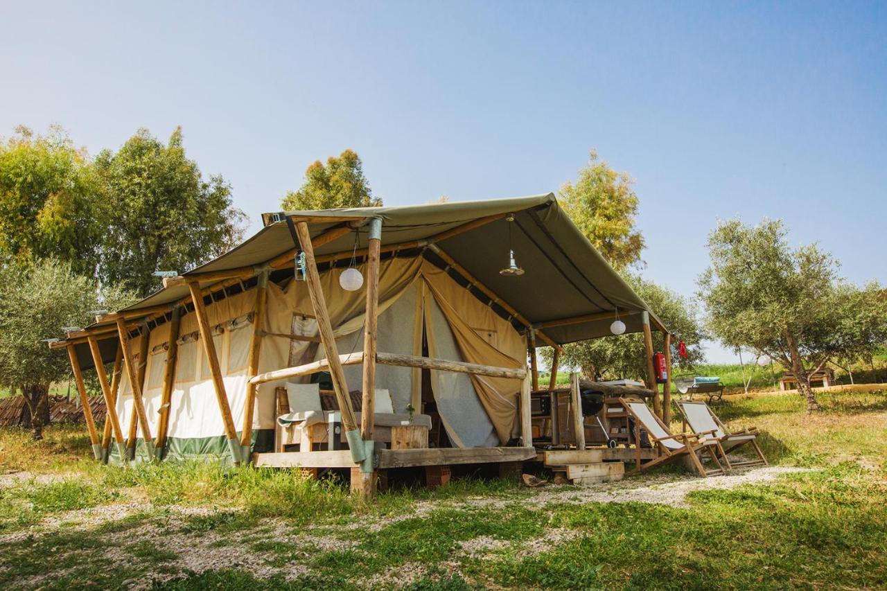 מלון מונטקורטו Tienda De Safari Almagro מראה חיצוני תמונה